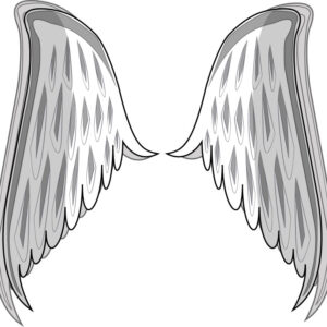 Angel Wings